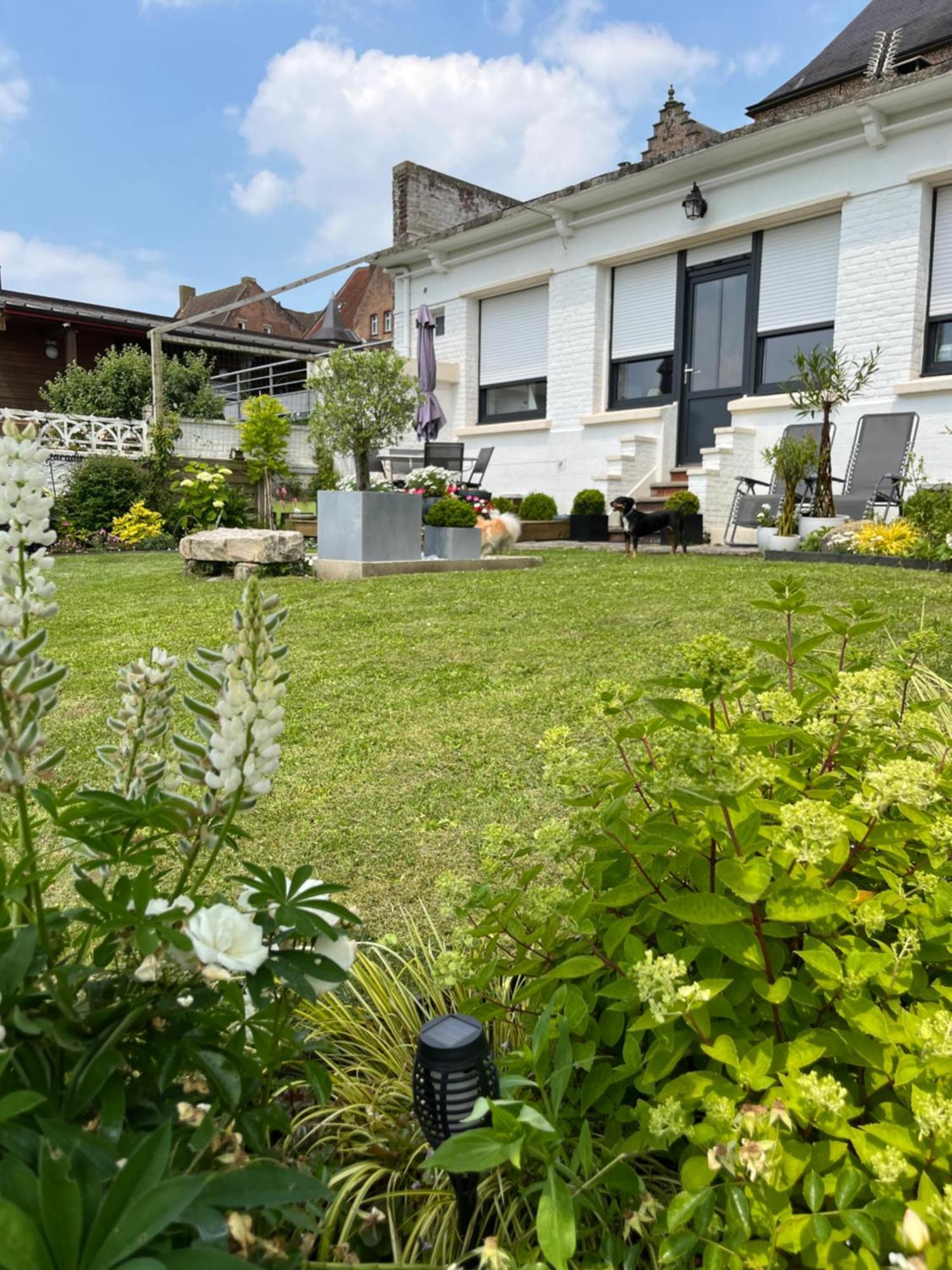 Le Petit Paradis Cassel Exterior foto
